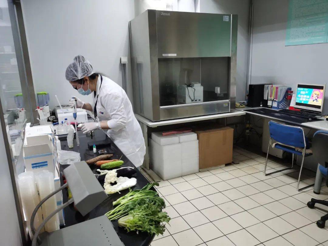 达坂城食品检测实验室装修方案